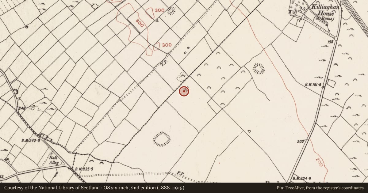 Ordnance Survey six-inch map, 2nd edition (1888–1915) covering the location of Barrow - ring-barrow, Killiaghan And Gort, County Roscommon, with a pin at the register's coordinates