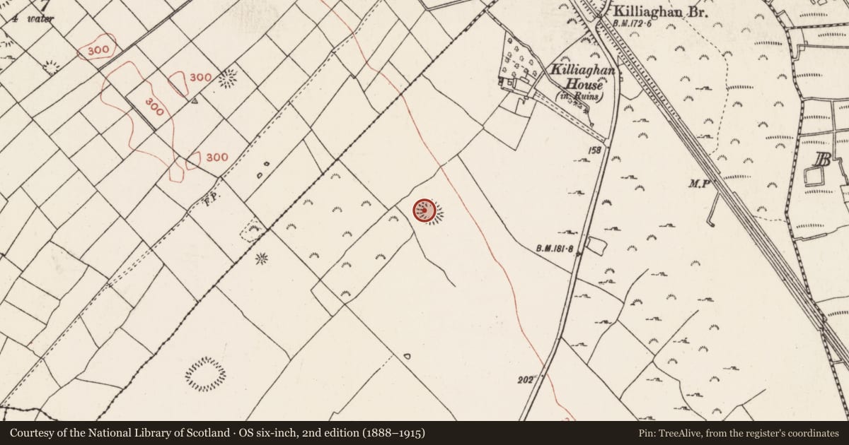 Ordnance Survey six-inch map, 2nd edition (1888–1915) covering the location of Ringfort - rath, Killiaghan And Gort, County Roscommon, with a pin at the register's coordinates