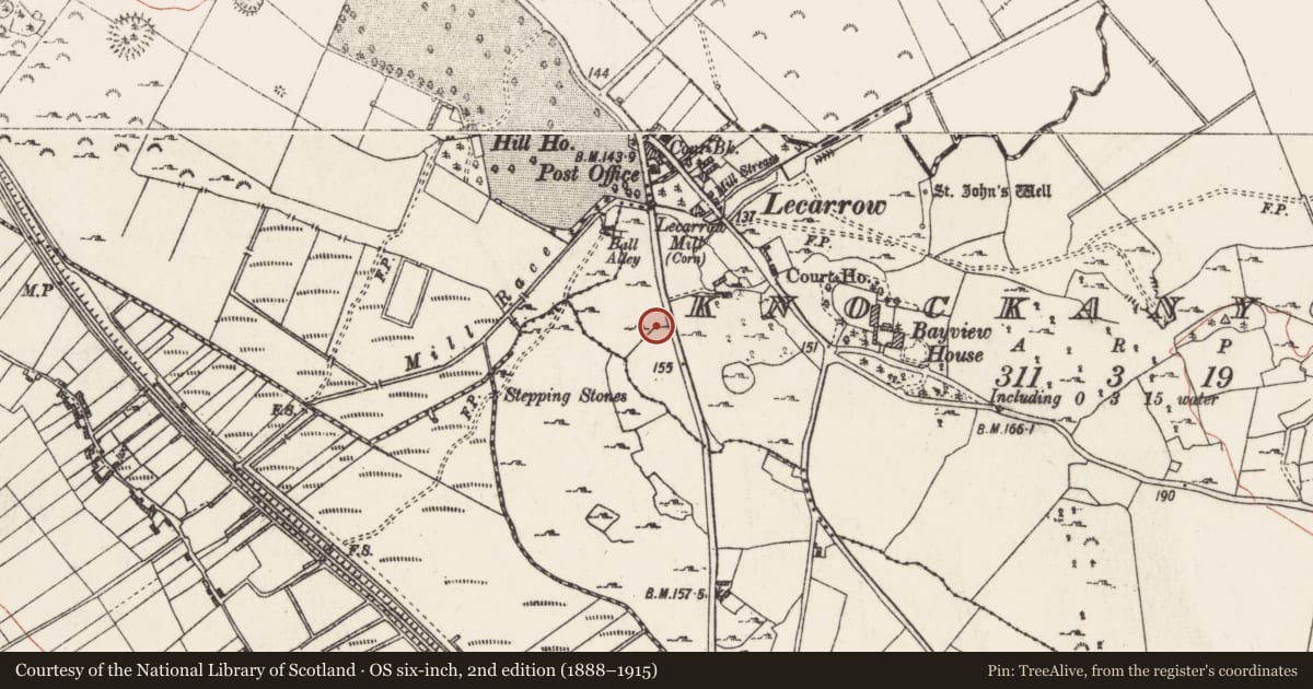 Ordnance Survey six-inch map, 2nd edition (1888–1915) covering the location of Megalithic tomb - portal tomb, Knockanyconor, County Roscommon, with a pin at the register's coordinates