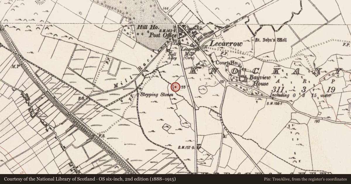 Ordnance Survey six-inch map, 2nd edition (1888–1915) covering the location of Barrow - stepped barrow, Curraghalaher, Knockanyconor, County Roscommon, with a pin at the register's coordinates