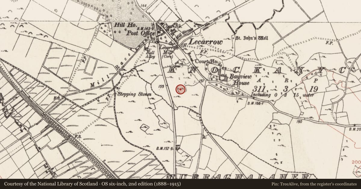 Ordnance Survey six-inch map, 2nd edition (1888–1915) covering the location of Designed landscape - tree-ring, Knockanyconor, County Roscommon, with a pin at the register's coordinates