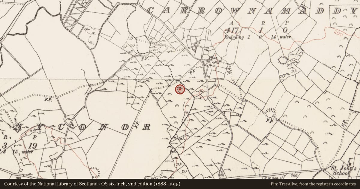 Ordnance Survey six-inch map, 2nd edition (1888–1915) covering the location of Ringfort - cashel, Carrownamaddy, Knockanyconor, County Roscommon, with a pin at the register's coordinates