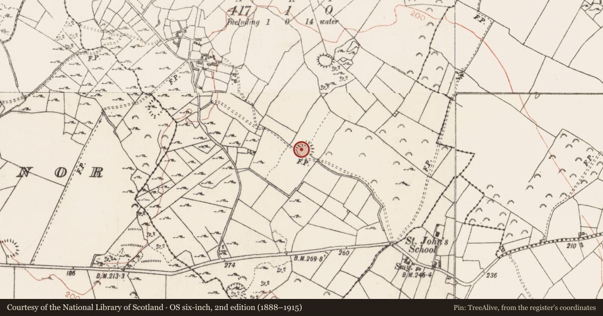 Ordnance Survey six-inch map, 2nd edition (1888–1915) covering the location of Ringfort - cashel, Carrownamaddy, County Roscommon, with a pin at the register's coordinates