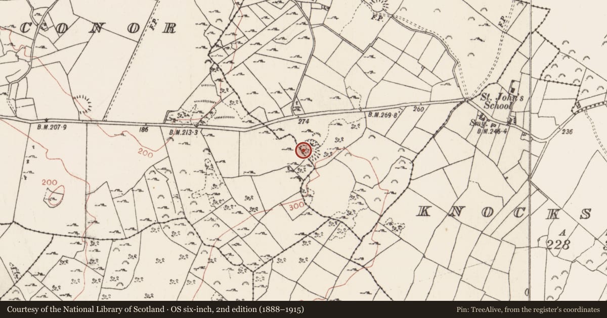 Ordnance Survey six-inch map, 2nd edition (1888–1915) covering the location of Ringfort - rath, Carrownamaddy, Knockanyconor, County Roscommon, with a pin at the register's coordinates