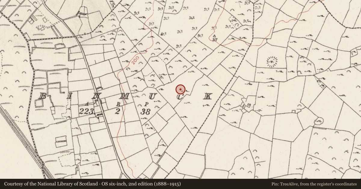Ordnance Survey six-inch map, 2nd edition (1888–1915) covering the location of Field system, Binmuck, County Roscommon, with a pin at the register's coordinates