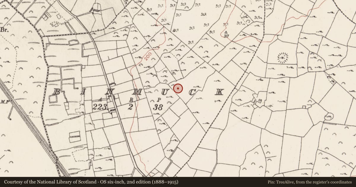 Ordnance Survey six-inch map, 2nd edition (1888–1915) covering the location of House - indeterminate date, Binmuck, County Roscommon, with a pin at the register's coordinates