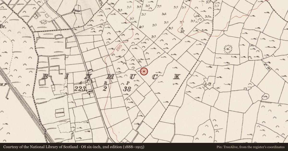 Ordnance Survey six-inch map, 2nd edition (1888–1915) covering the location of House - indeterminate date, Binmuck, County Roscommon, with a pin at the register's coordinates
