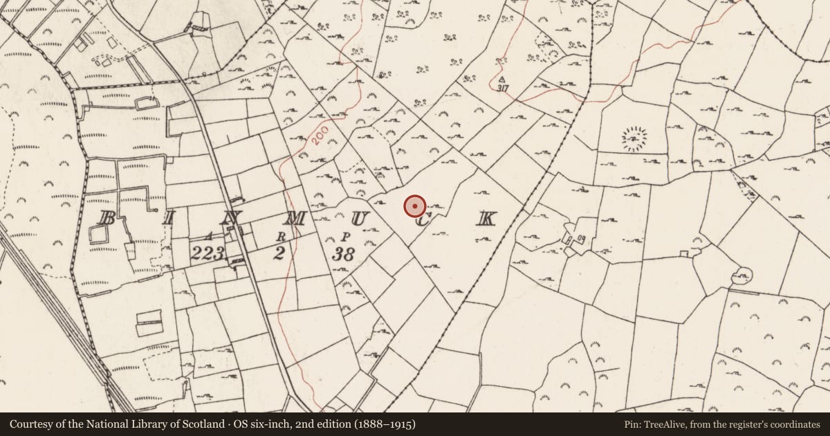 Ordnance Survey six-inch map, 2nd edition (1888–1915) covering the location of House - indeterminate date, Binmuck, County Roscommon, with a pin at the register's coordinates