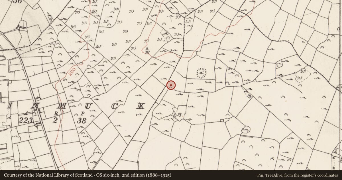 Ordnance Survey six-inch map, 2nd edition (1888–1915) covering the location of Ringfort - cashel, Ballybrogan, County Roscommon, with a pin at the register's coordinates
