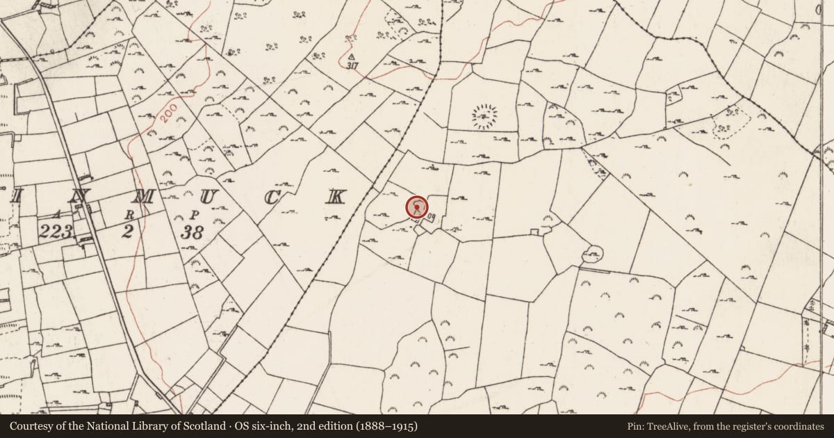 Ordnance Survey six-inch map, 2nd edition (1888–1915) covering the location of Enclosure, Ballybrogan, County Roscommon, with a pin at the register's coordinates