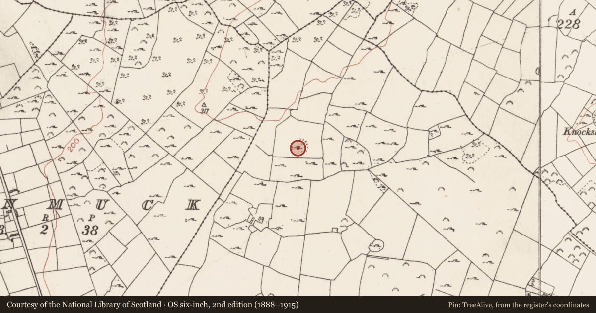 Ordnance Survey six-inch map, 2nd edition (1888–1915) covering the location of Ringfort - cashel, Ballybrogan, County Roscommon, with a pin at the register's coordinates