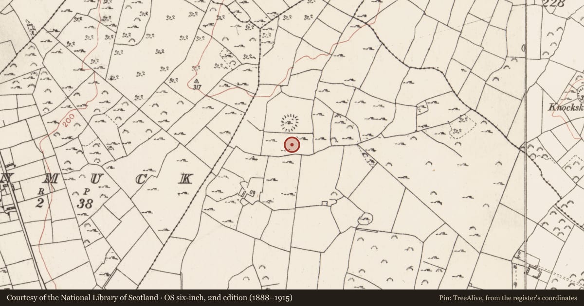 Ordnance Survey six-inch map, 2nd edition (1888–1915) covering the location of Ringfort - cashel, Ballybrogan, County Roscommon, with a pin at the register's coordinates