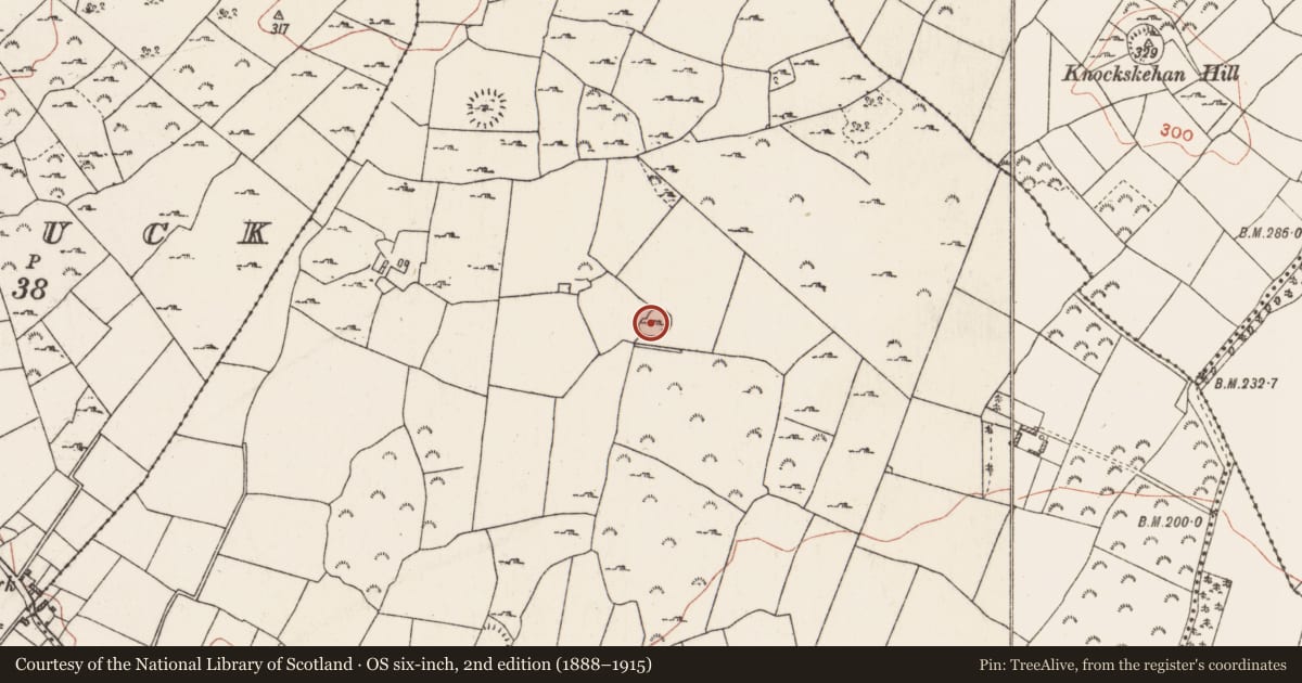Ordnance Survey six-inch map, 2nd edition (1888–1915) covering the location of Enclosure, Ballybrogan, County Roscommon, with a pin at the register's coordinates