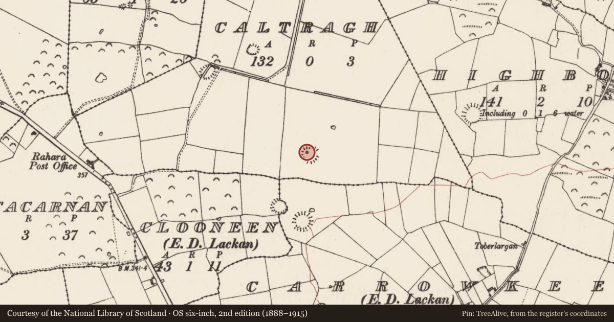 Ordnance Survey six-inch map, 2nd edition (1888–1915) covering the location of Ringfort - rath, Caltragh, County Roscommon, with a pin at the register's coordinates