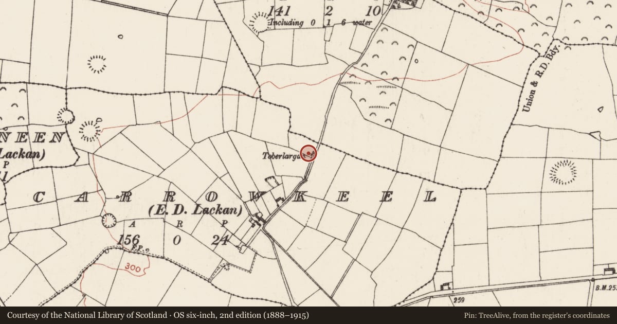 Ordnance Survey six-inch map, 2nd edition (1888–1915) covering the location of Ritual site - holy well, Carrowkeel, County Roscommon, with a pin at the register's coordinates