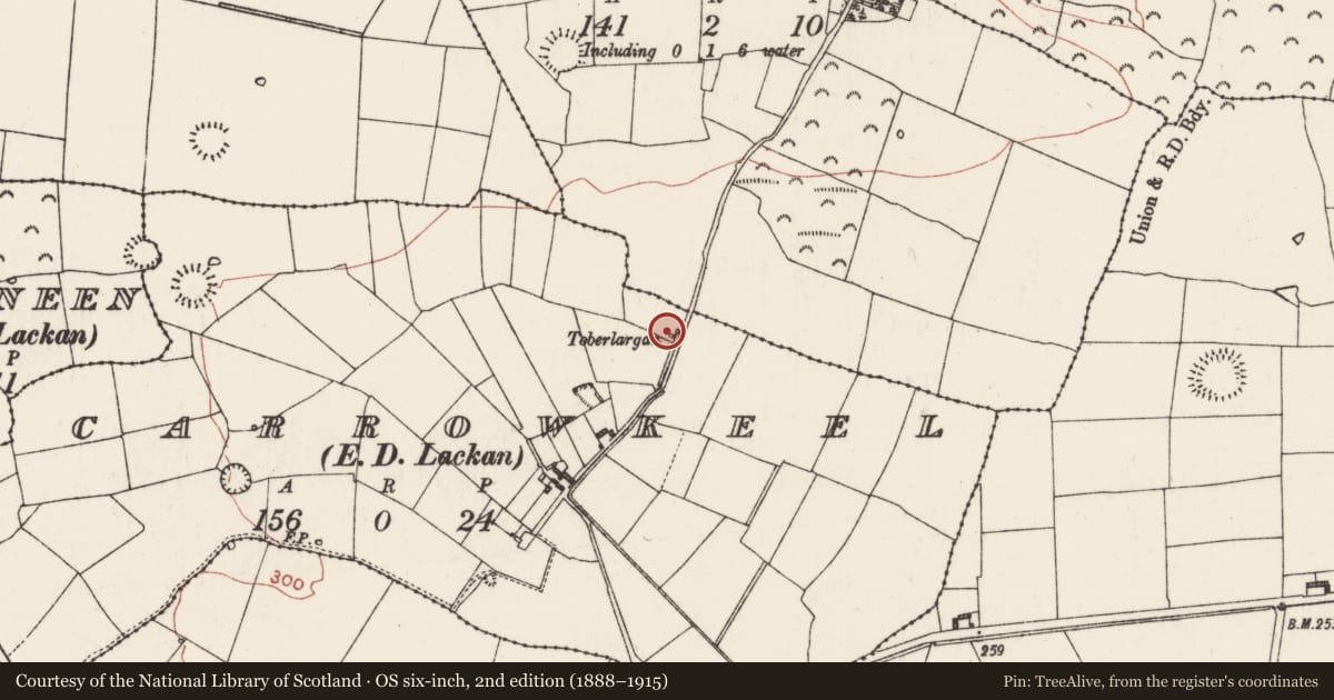 Ordnance Survey six-inch map, 2nd edition (1888–1915) covering the location of Structure, Carrowkeel, County Roscommon, with a pin at the register's coordinates
