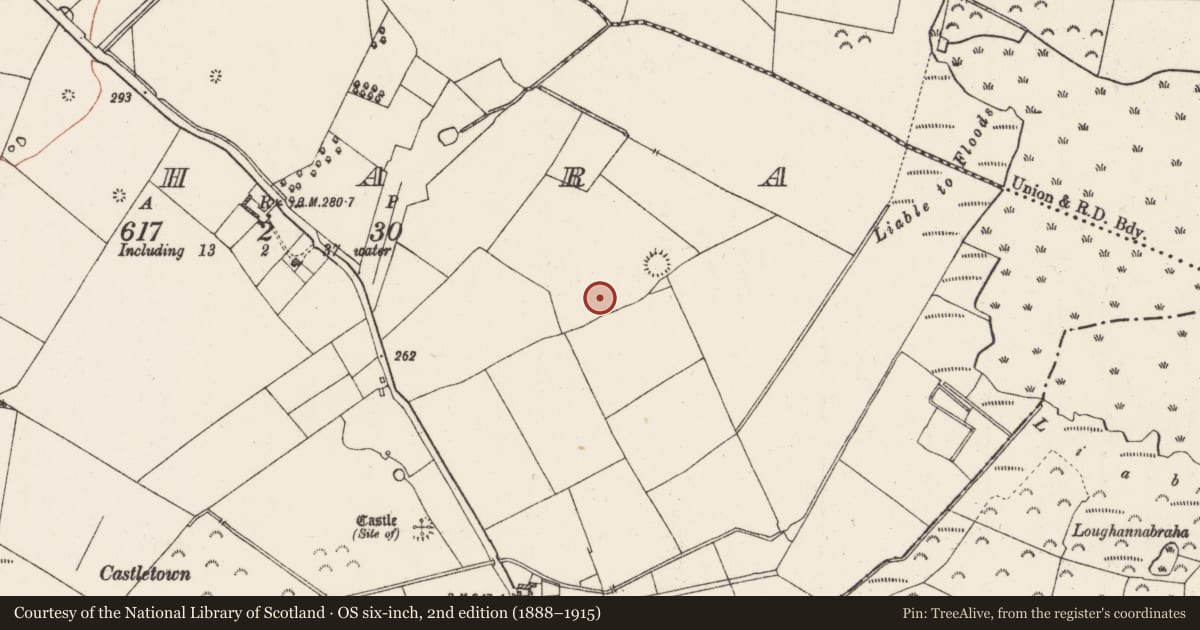 Ordnance Survey six-inch map, 2nd edition (1888–1915) covering the location of Linear earthwork, Rahara, County Roscommon, with a pin at the register's coordinates
