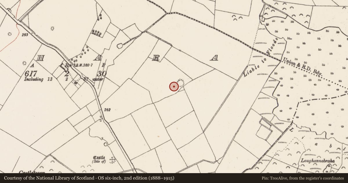 Ordnance Survey six-inch map, 2nd edition (1888–1915) covering the location of Hut site, Rahara, County Roscommon, with a pin at the register's coordinates