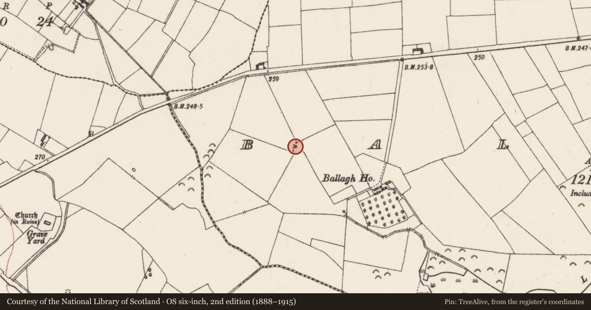 Ordnance Survey six-inch map, 2nd edition (1888–1915) covering the location of Ringfort - rath, Ballagh, County Roscommon, with a pin at the register's coordinates