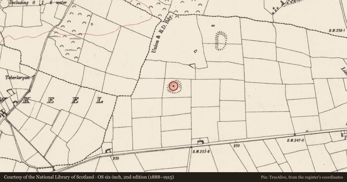 Ordnance Survey six-inch map, 2nd edition (1888–1915) covering the location of Ringfort - rath, Ballagh, County Roscommon, with a pin at the register's coordinates
