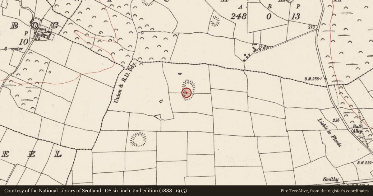 Ordnance Survey six-inch map, 2nd edition (1888–1915) covering the location of Ringfort - rath, Ballagh, County Roscommon, with a pin at the register's coordinates