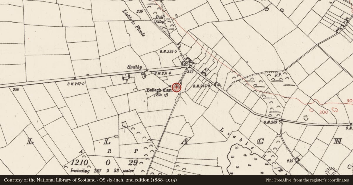 Ordnance Survey six-inch map, 2nd edition (1888–1915) covering the location of Castle - unclassified, Ballagh, County Roscommon, with a pin at the register's coordinates