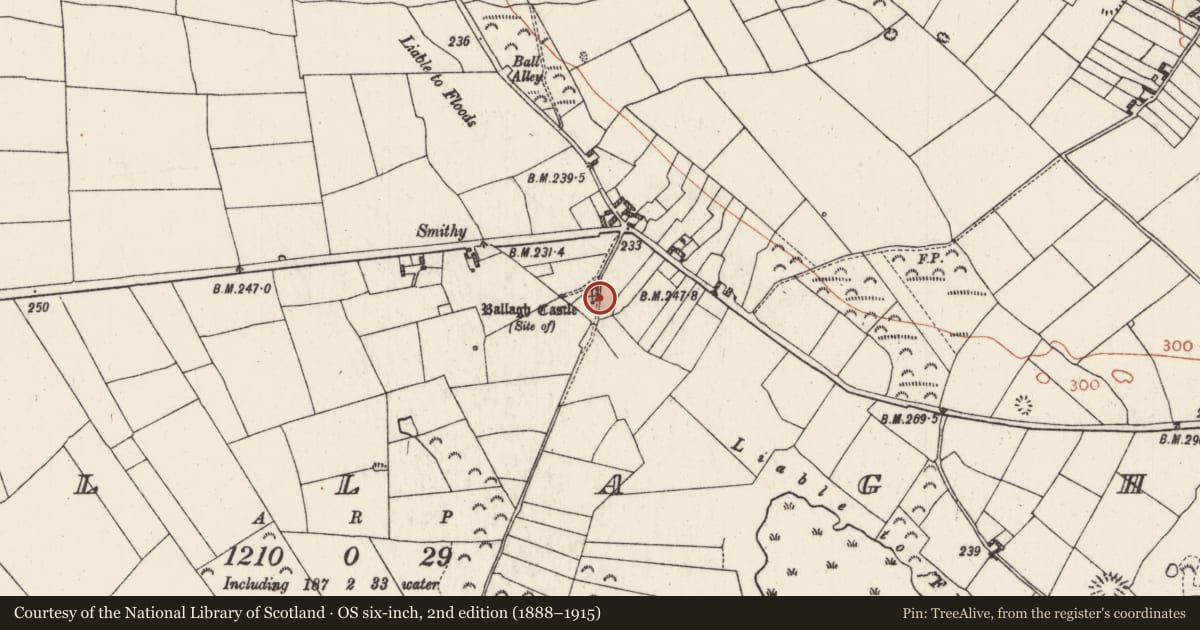 Ordnance Survey six-inch map, 2nd edition (1888–1915) covering the location of Enclosure, Ballagh, County Roscommon, with a pin at the register's coordinates