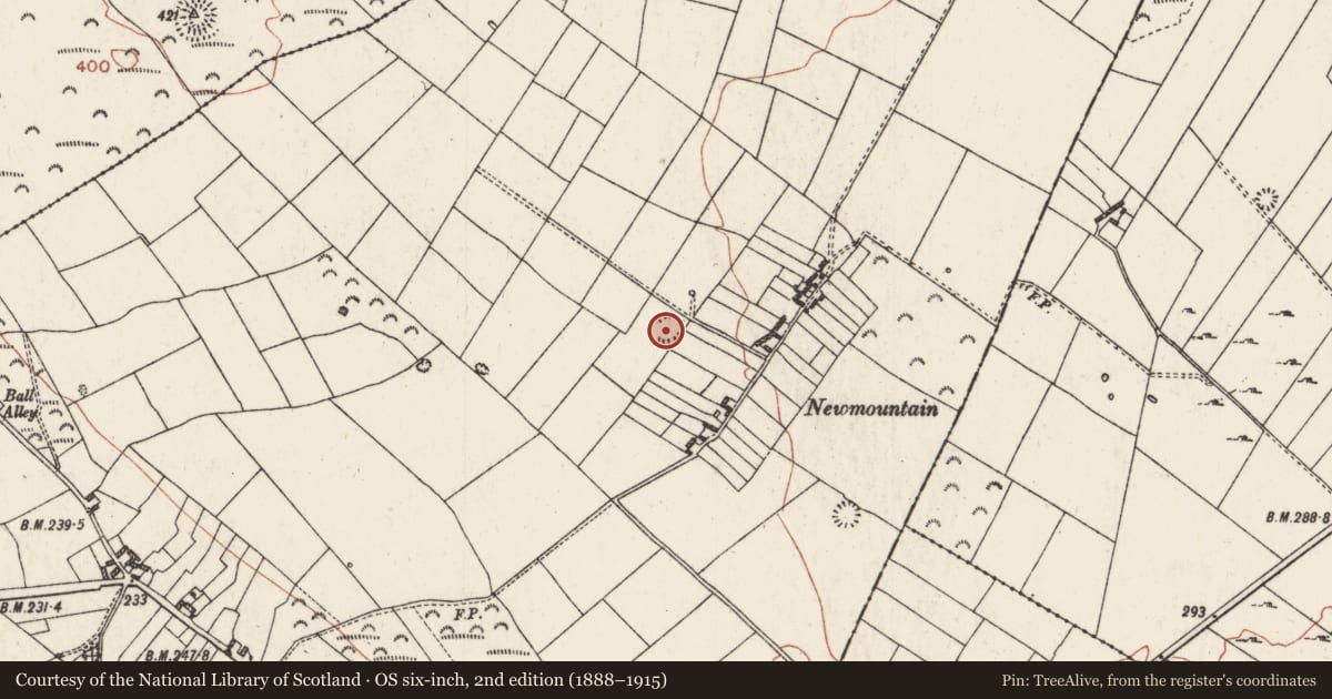 Ordnance Survey six-inch map, 2nd edition (1888–1915) covering the location of Ringfort - rath, Ballagh, County Roscommon, with a pin at the register's coordinates