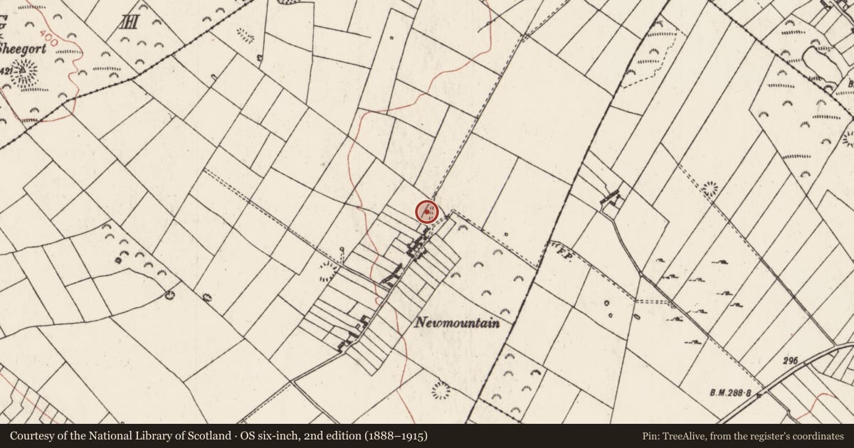 Ordnance Survey six-inch map, 2nd edition (1888–1915) covering the location of Ringfort - rath, Ballagh, County Roscommon, with a pin at the register's coordinates