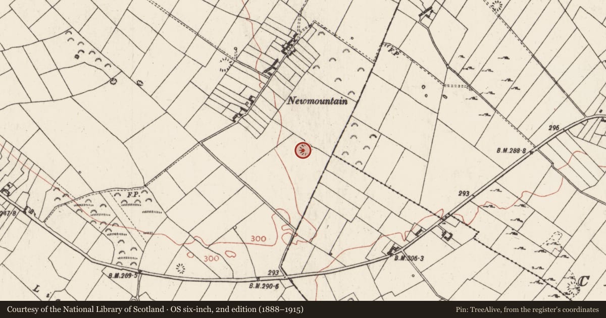 Ordnance Survey six-inch map, 2nd edition (1888–1915) covering the location of Ringfort - rath, Ballagh, County Roscommon, with a pin at the register's coordinates