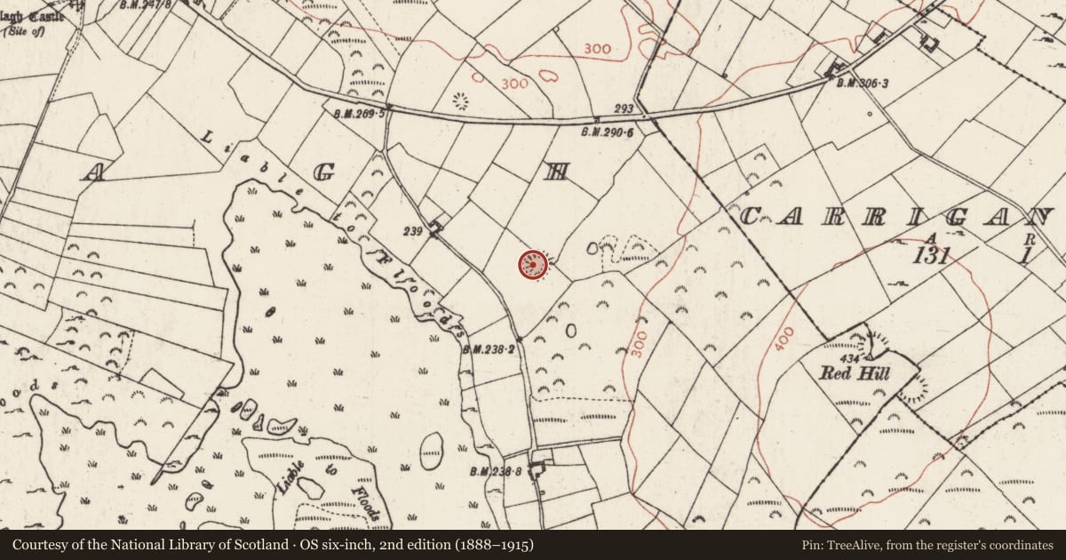 Ordnance Survey six-inch map, 2nd edition (1888–1915) covering the location of Ringfort - rath, Ballagh, County Roscommon, with a pin at the register's coordinates