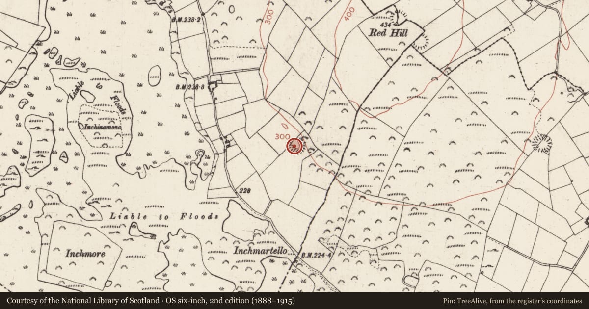 Ordnance Survey six-inch map, 2nd edition (1888–1915) covering the location of Ringfort - rath, Ballagh, County Roscommon, with a pin at the register's coordinates