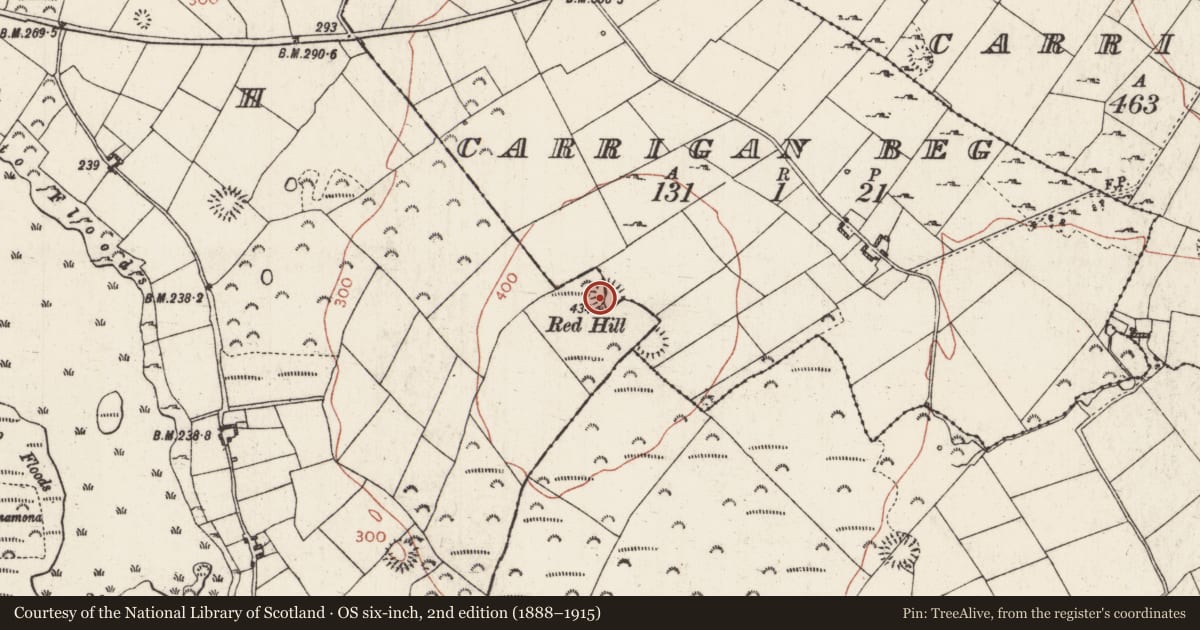 Ordnance Survey six-inch map, 2nd edition (1888–1915) covering the location of Ringfort - rath, Ballagh, Carrigan Beg, County Roscommon, with a pin at the register's coordinates