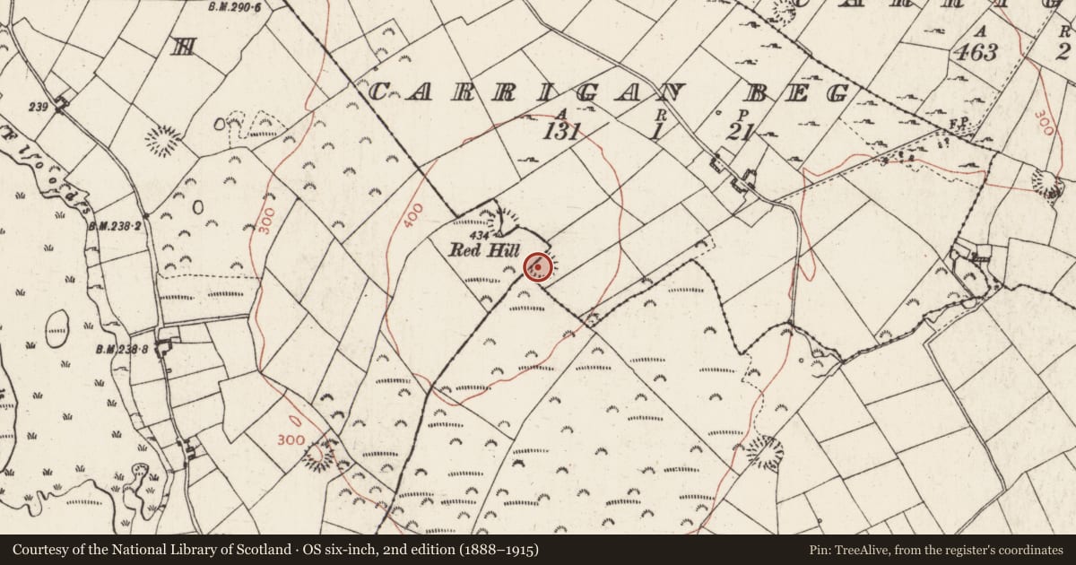 Ordnance Survey six-inch map, 2nd edition (1888–1915) covering the location of Ringfort - cashel, Ballagh, Carrigan Beg, County Roscommon, with a pin at the register's coordinates