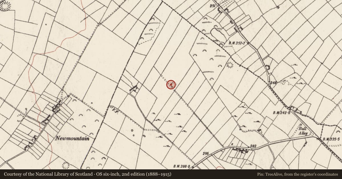 Ordnance Survey six-inch map, 2nd edition (1888–1915) covering the location of Barrow - ring-barrow, Carrigan More, County Roscommon, with a pin at the register's coordinates