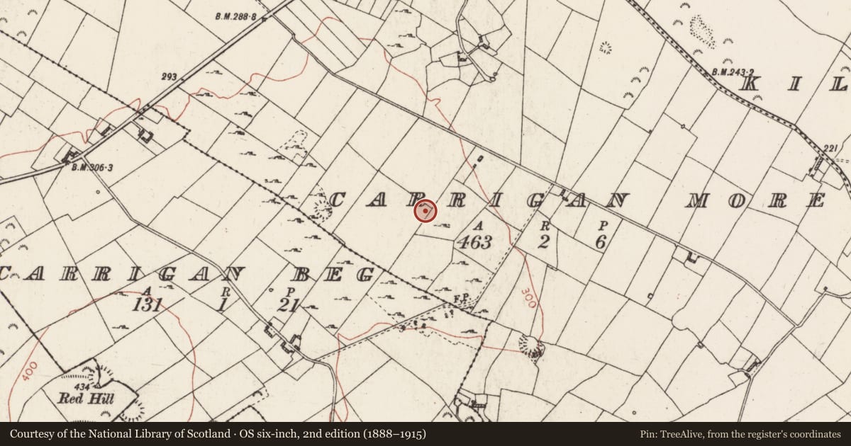 Ordnance Survey six-inch map, 2nd edition (1888–1915) covering the location of Ringfort - rath, Carrigan More, County Roscommon, with a pin at the register's coordinates