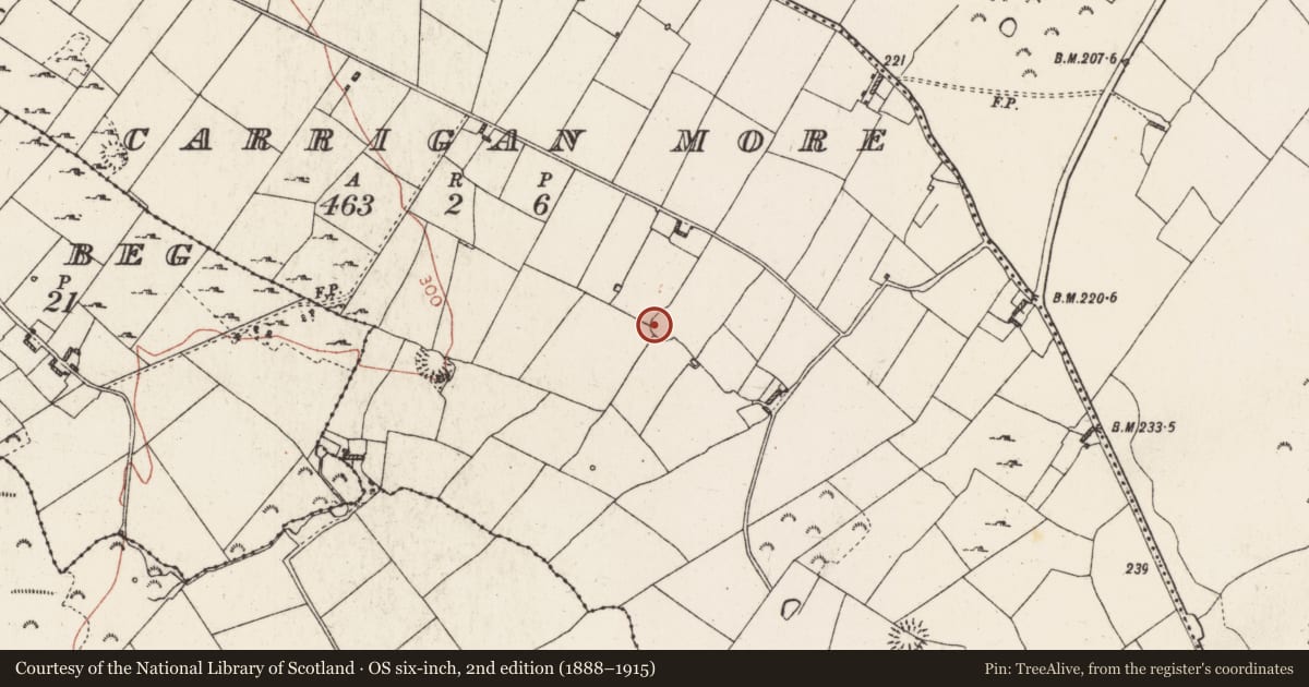 Ordnance Survey six-inch map, 2nd edition (1888–1915) covering the location of Ringfort - rath, Carrigan More, County Roscommon, with a pin at the register's coordinates