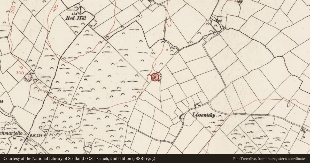 Ordnance Survey six-inch map, 2nd edition (1888–1915) covering the location of Ringfort - rath, Lisfelim, County Roscommon, with a pin at the register's coordinates