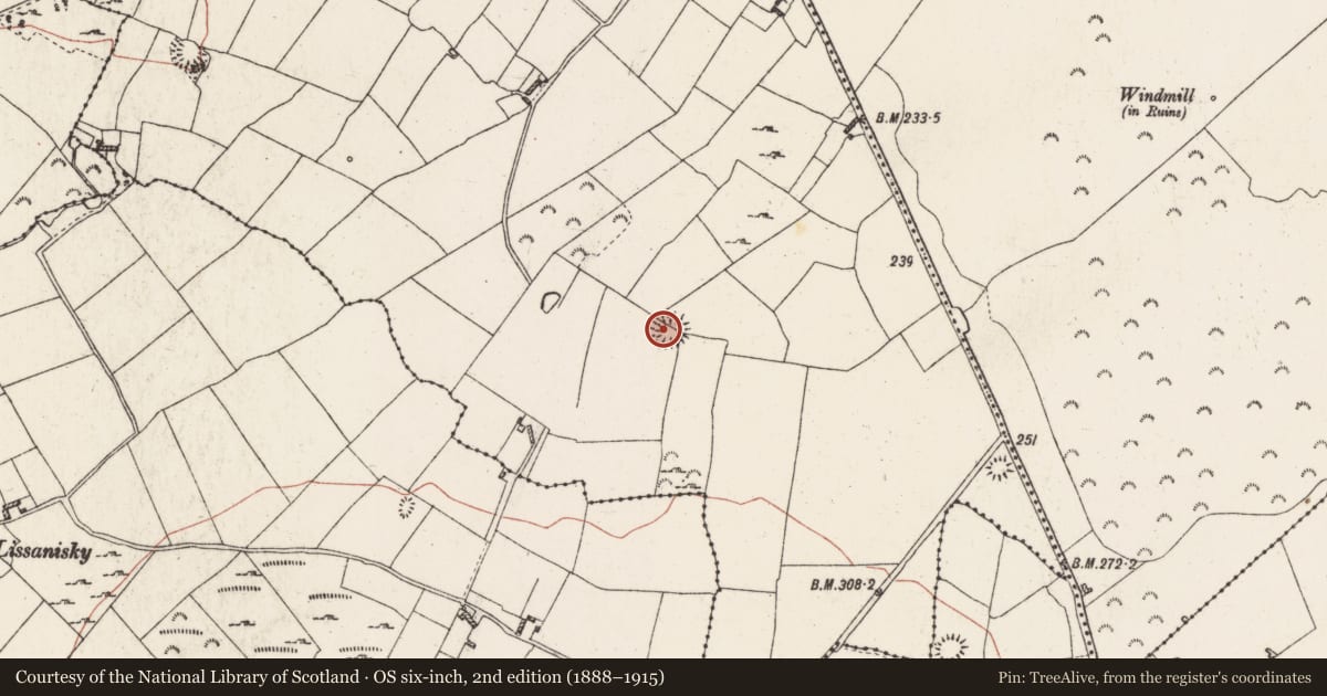 Ordnance Survey six-inch map, 2nd edition (1888–1915) covering the location of Ringfort - rath, Carrigan More, County Roscommon, with a pin at the register's coordinates