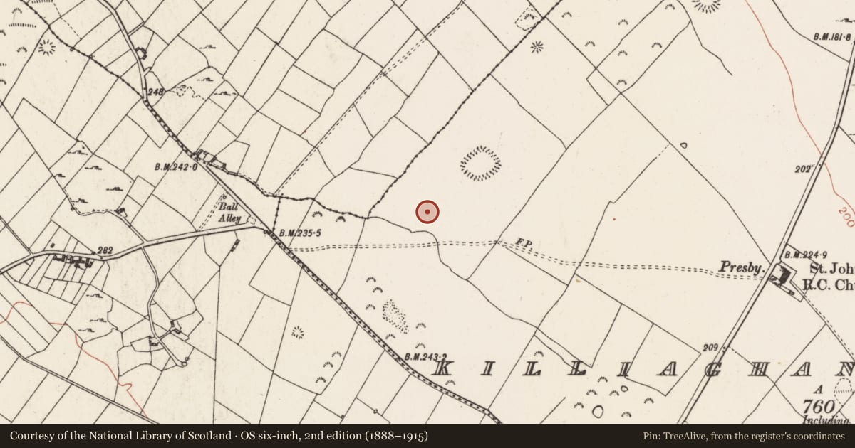 Ordnance Survey six-inch map, 2nd edition (1888–1915) covering the location of Hut site, Killiaghan And Gort, County Roscommon, with a pin at the register's coordinates