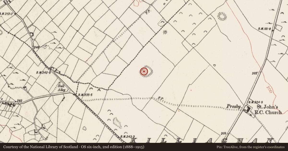 Ordnance Survey six-inch map, 2nd edition (1888–1915) covering the location of Ringfort - rath, Killiaghan And Gort, County Roscommon, with a pin at the register's coordinates