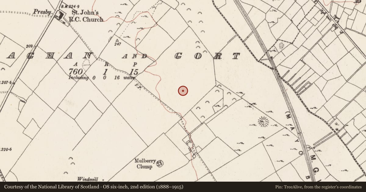 Ordnance Survey six-inch map, 2nd edition (1888–1915) covering the location of House - indeterminate date, Killiaghan And Gort, County Roscommon, with a pin at the register's coordinates