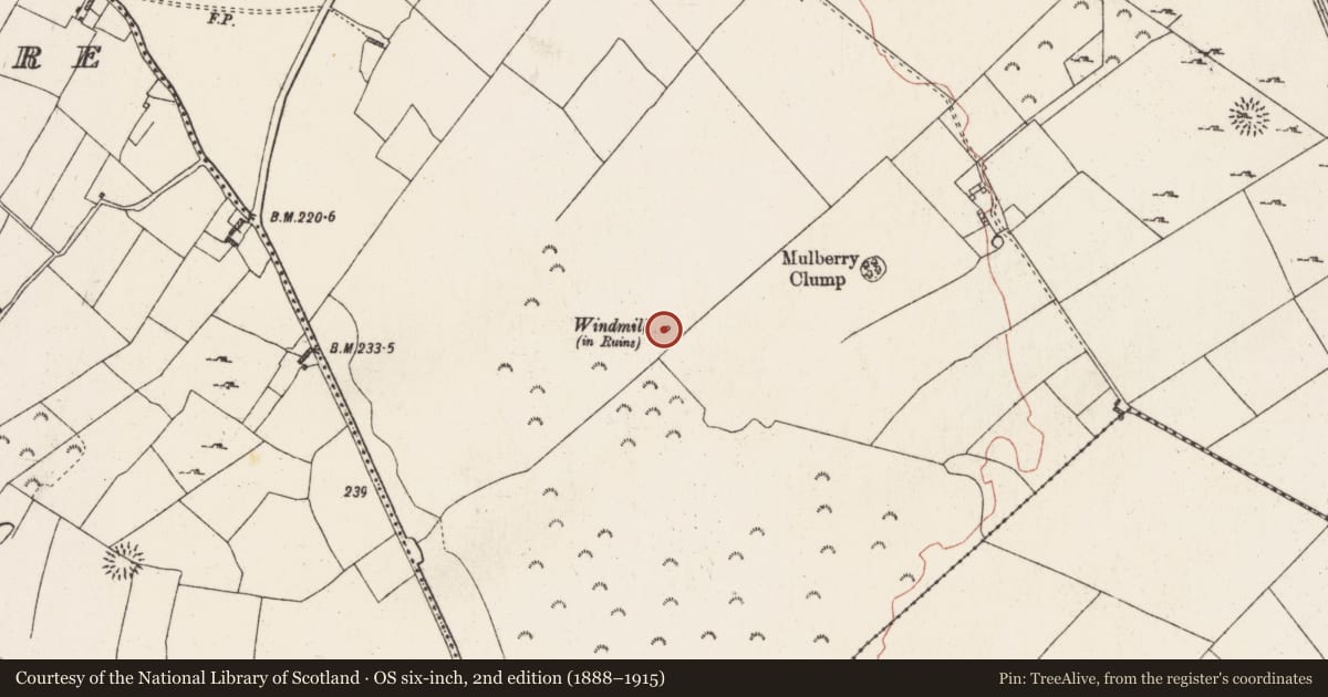 Ordnance Survey six-inch map, 2nd edition (1888–1915) covering the location of Mound, Killiaghan And Gort, County Roscommon, with a pin at the register's coordinates