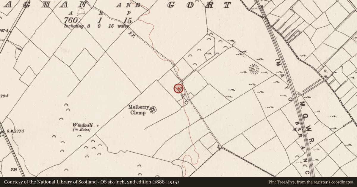 Ordnance Survey six-inch map, 2nd edition (1888–1915) covering the location of House - 17th century, Killiaghan And Gort, County Roscommon, with a pin at the register's coordinates