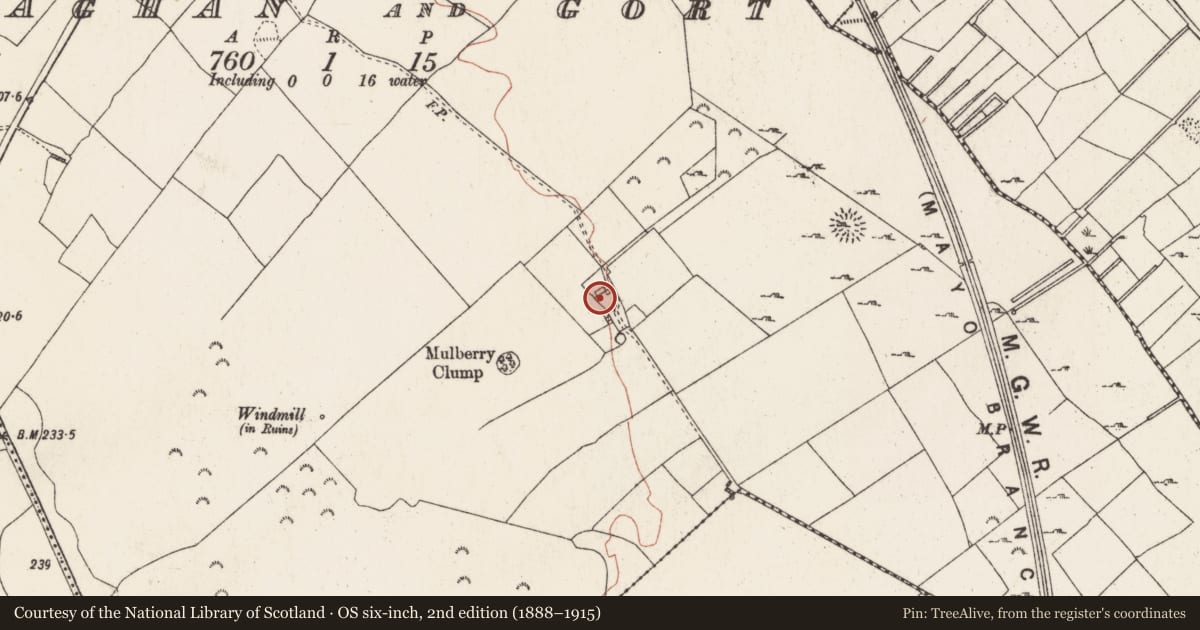 Ordnance Survey six-inch map, 2nd edition (1888–1915) covering the location of Bawn, Killiaghan And Gort, County Roscommon, with a pin at the register's coordinates