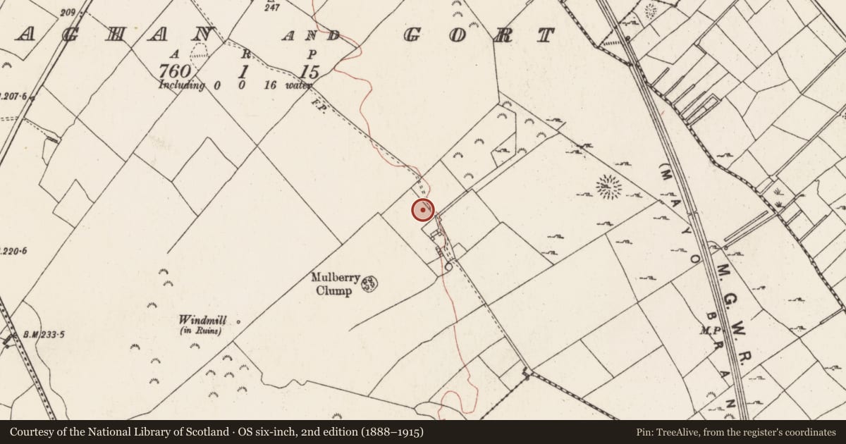 Ordnance Survey six-inch map, 2nd edition (1888–1915) covering the location of Walled garden, Killiaghan And Gort, County Roscommon, with a pin at the register's coordinates