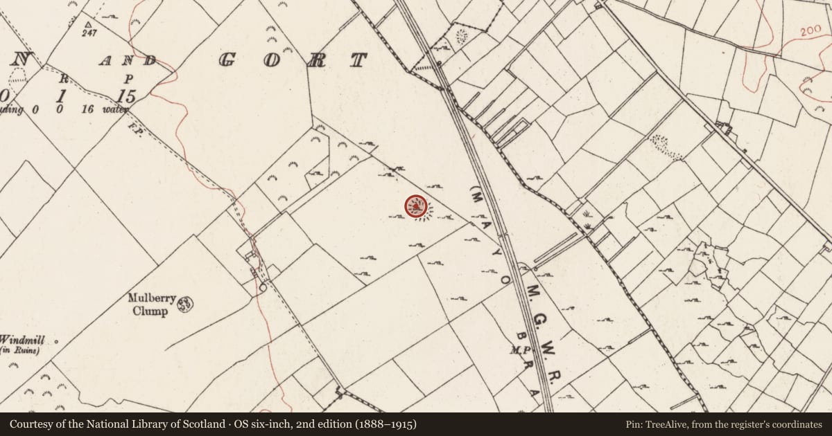 Ordnance Survey six-inch map, 2nd edition (1888–1915) covering the location of Ringfort - rath, Killiaghan And Gort, County Roscommon, with a pin at the register's coordinates