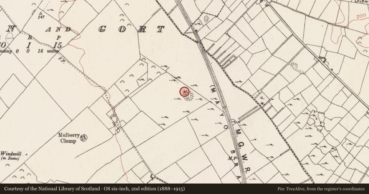Ordnance Survey six-inch map, 2nd edition (1888–1915) covering the location of Souterrain, Killiaghan And Gort, County Roscommon, with a pin at the register's coordinates