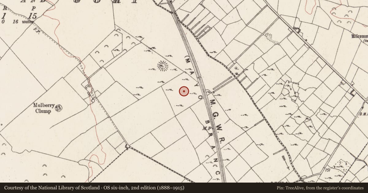 Ordnance Survey six-inch map, 2nd edition (1888–1915) covering the location of Field system, Killiaghan And Gort, County Roscommon, with a pin at the register's coordinates