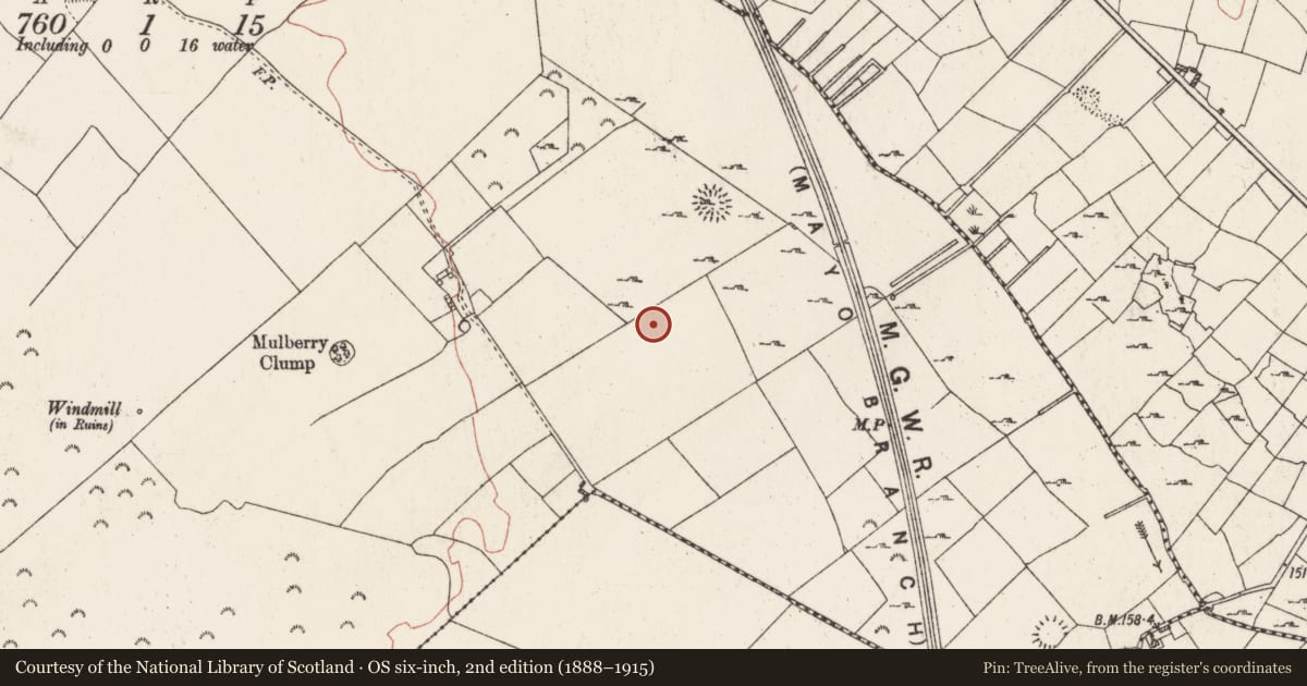 Ordnance Survey six-inch map, 2nd edition (1888–1915) covering the location of Ringfort - rath, Killiaghan And Gort, County Roscommon, with a pin at the register's coordinates